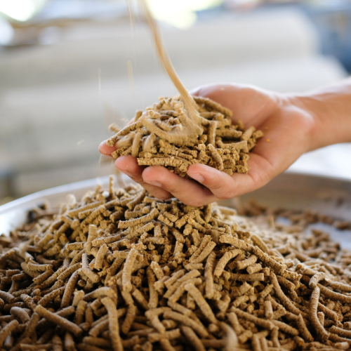 Cattle Feed Pellets